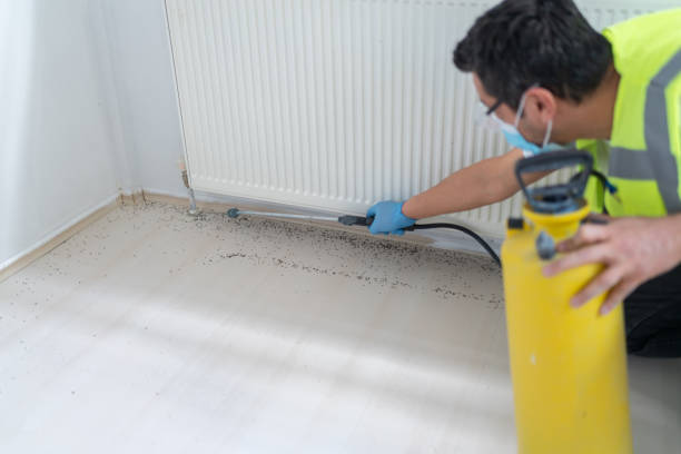 Best Residential Pest Control  in Avodo Heights, CA